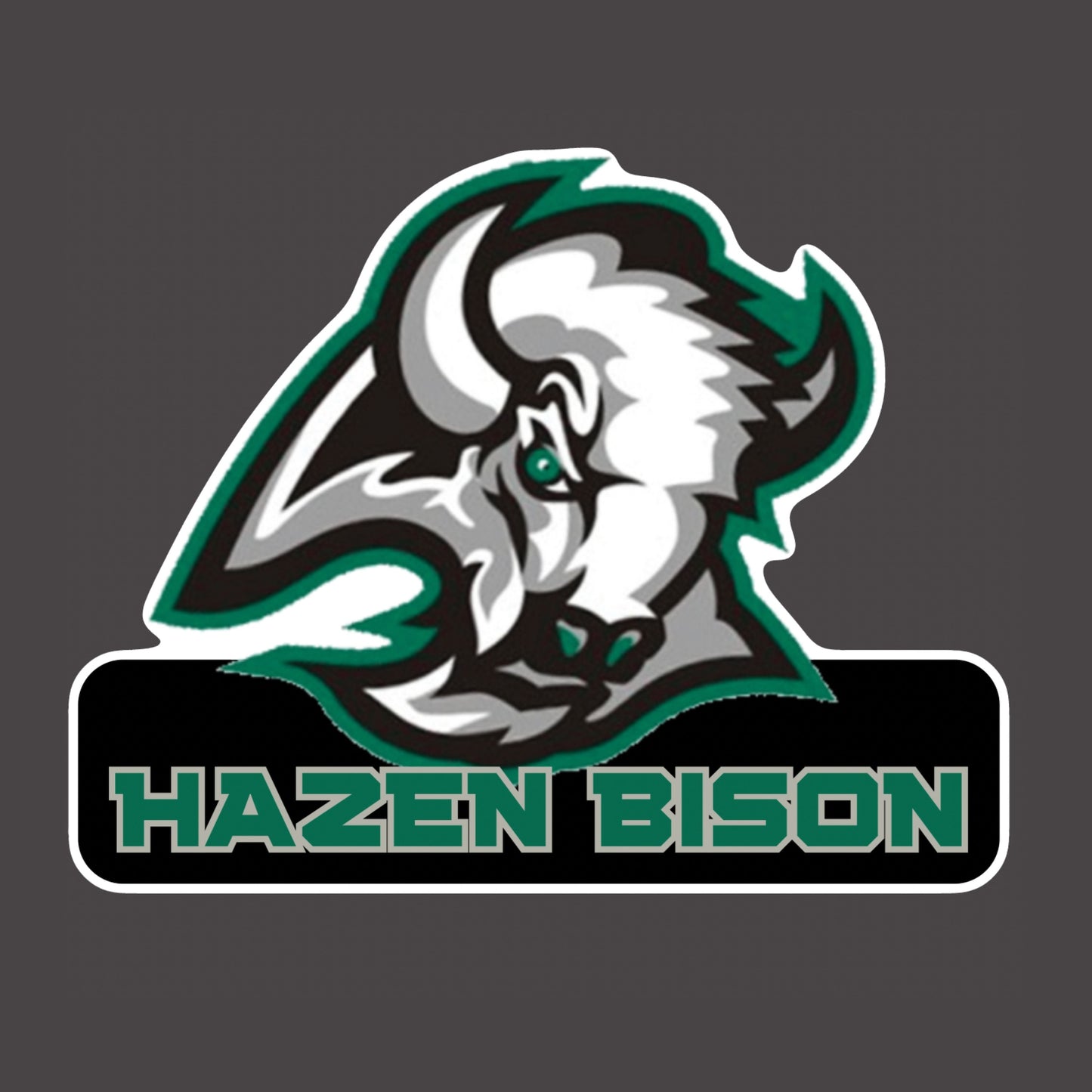 Large Bison Head Fan SIgn