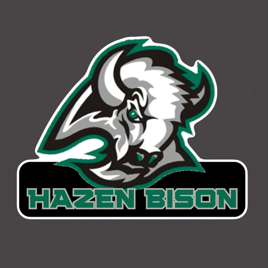 Large Bison Head Fan SIgn